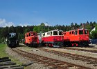 Lokparaden und Doppeltraktion 60 Jahre Diesellok 2095 (2)